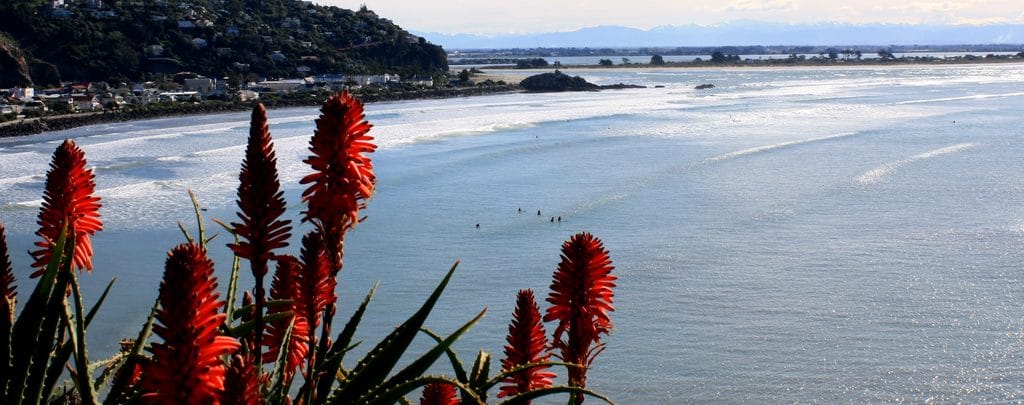 overview of scarborough beach in sumner, Christchurch.